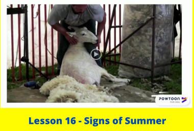 Lesson 16 - Signs of Summer
