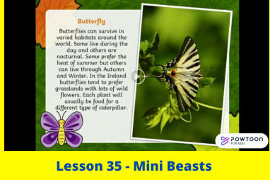 Lesson 35 - Mini Beasts